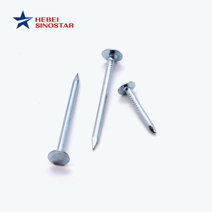 Flat Head Nail suppliers